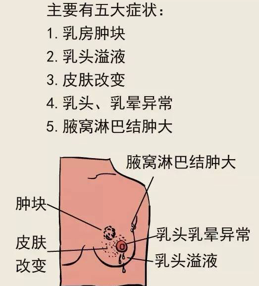 图片31.jpg