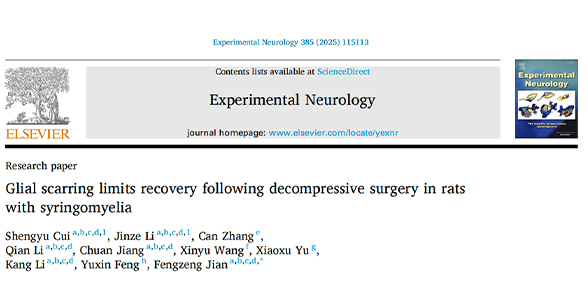 成果发表｜菅凤增教授团队：胶质瘢痕在脊髓空洞治疗中的重要影响